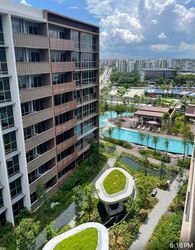 Pasir Ris 8 (D18), Apartment #454329501